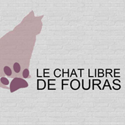 Le Chat Libre de Fouras, Création d'un site internet