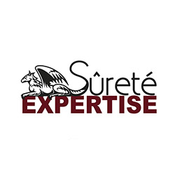 Sureté Expertise, création d'un logo